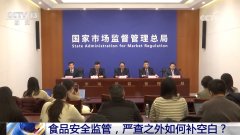 食物平安监管 严查之外若何补空白？